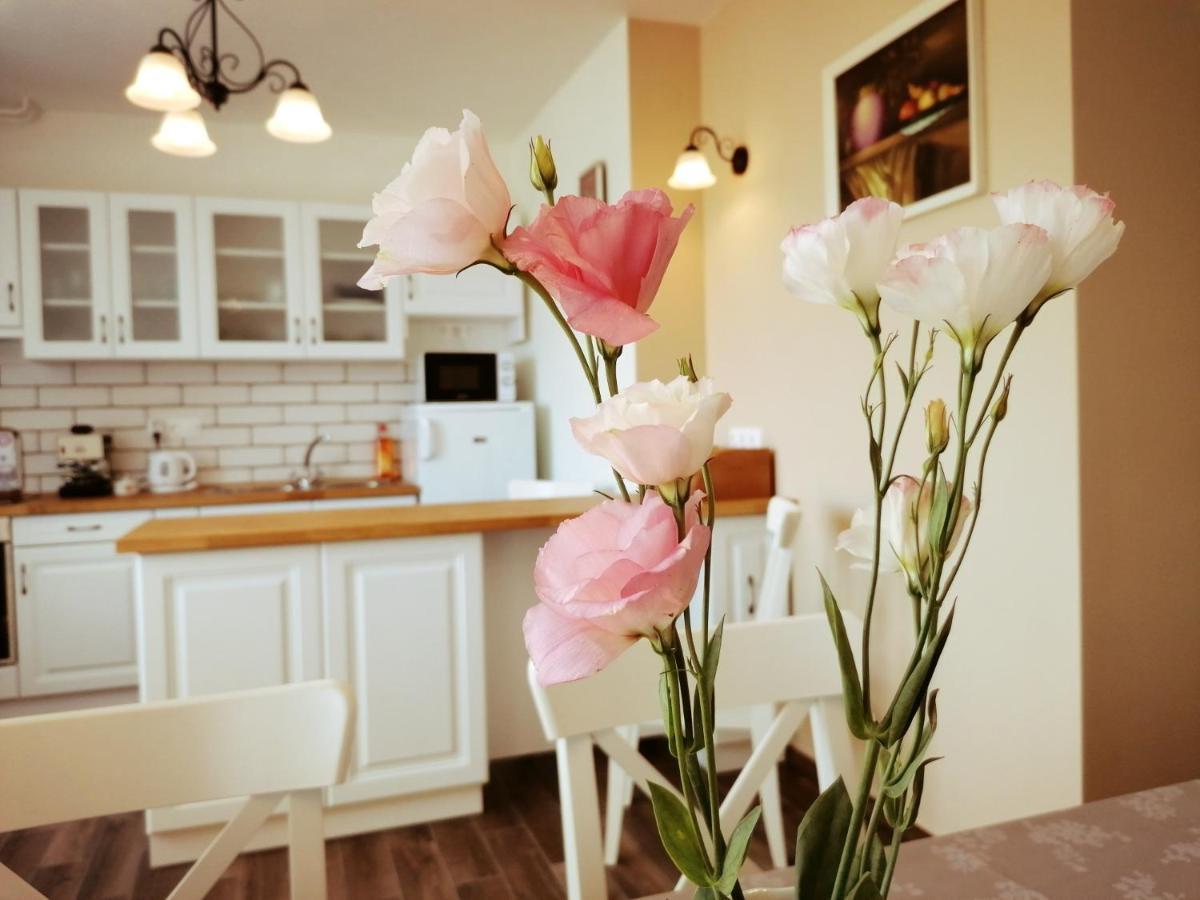 Elisoria Apartments Cserszegtomaj Ngoại thất bức ảnh